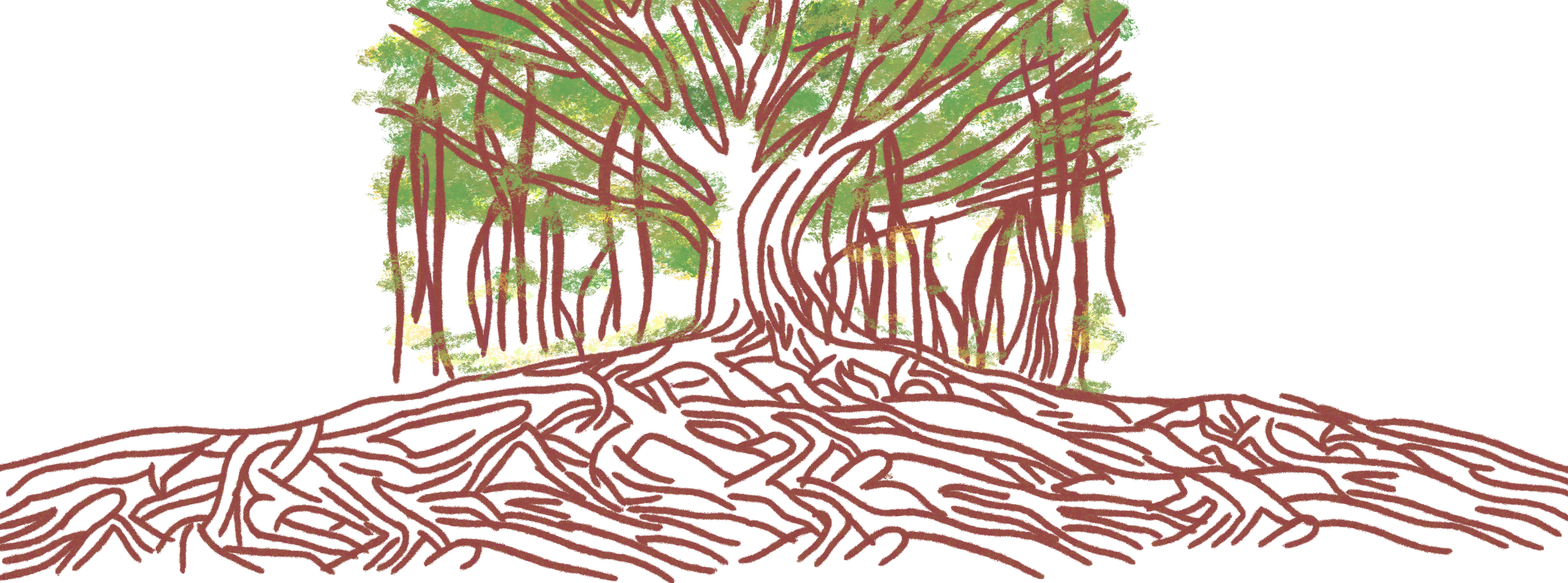 tree